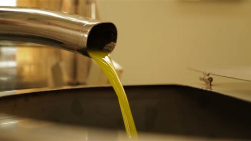 olio extravergine estratto a freddo