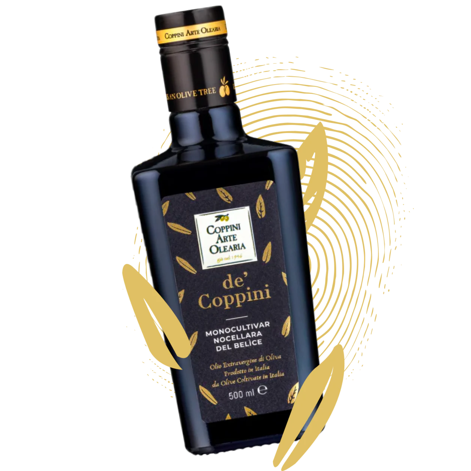 olio extravergine de' Coppini top