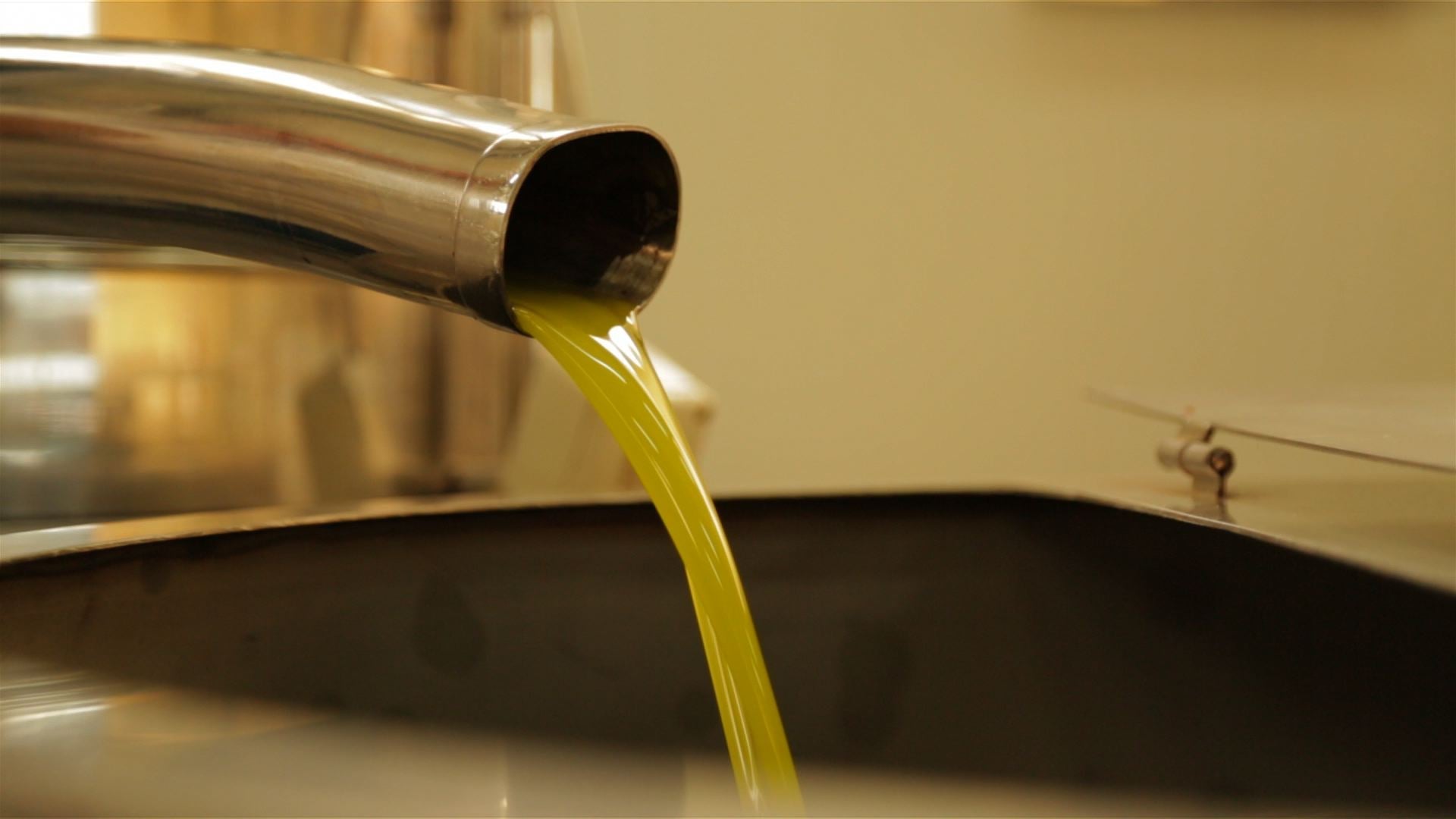Estrazione a Freddo Olio evo 