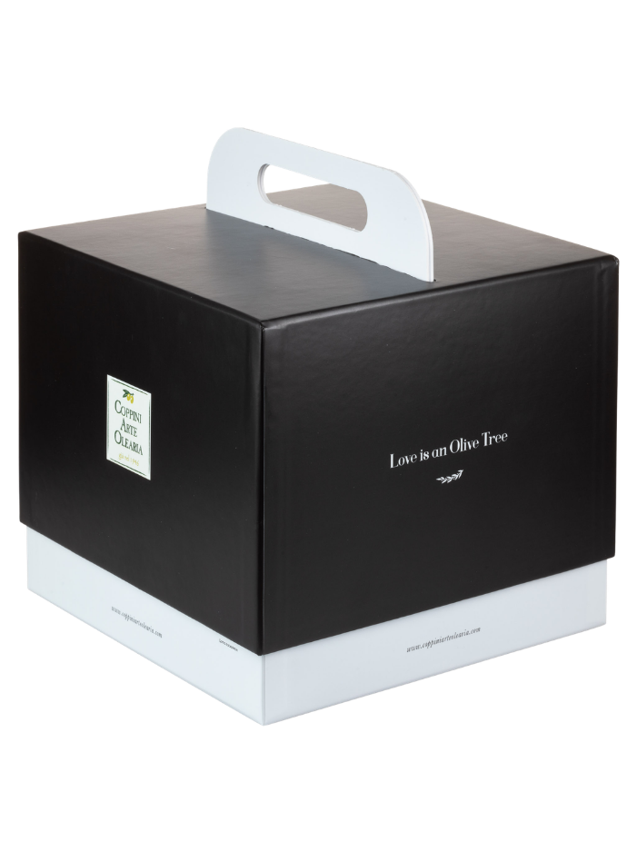 t.o.p. 10 box - confezione regalo
